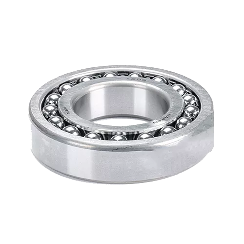 Perimeter Protection System